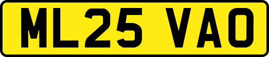 ML25VAO