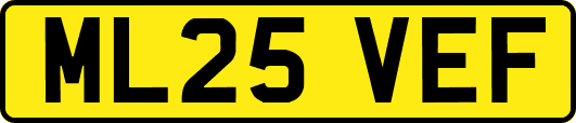 ML25VEF