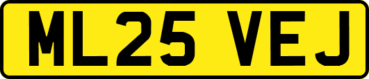 ML25VEJ