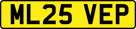 ML25VEP
