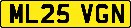 ML25VGN