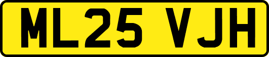 ML25VJH