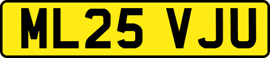ML25VJU