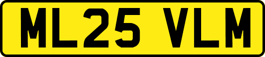 ML25VLM