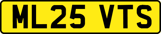 ML25VTS