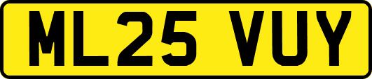 ML25VUY