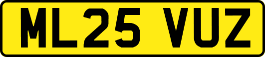 ML25VUZ