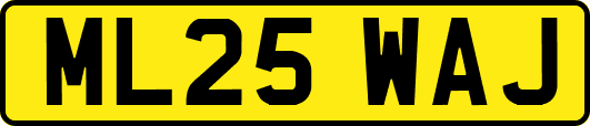 ML25WAJ
