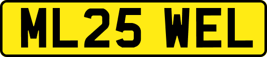 ML25WEL