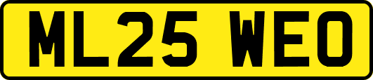 ML25WEO