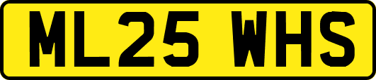 ML25WHS