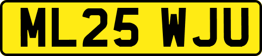ML25WJU