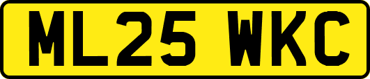 ML25WKC