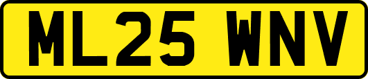 ML25WNV
