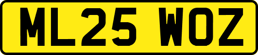 ML25WOZ