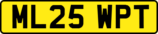ML25WPT