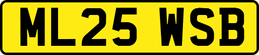 ML25WSB