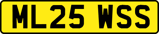 ML25WSS