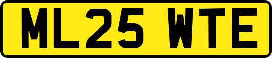 ML25WTE
