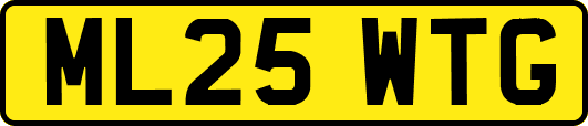 ML25WTG