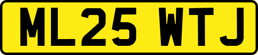 ML25WTJ