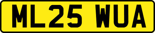 ML25WUA