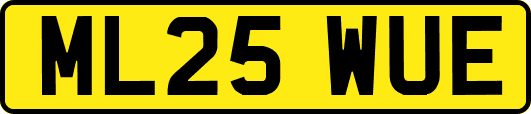 ML25WUE