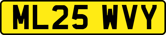 ML25WVY