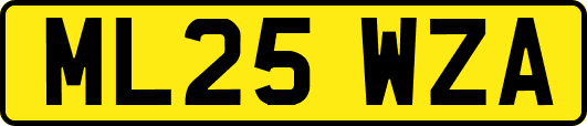 ML25WZA