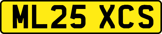 ML25XCS