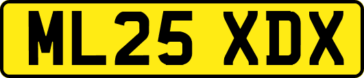 ML25XDX