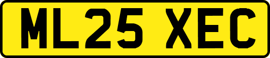 ML25XEC