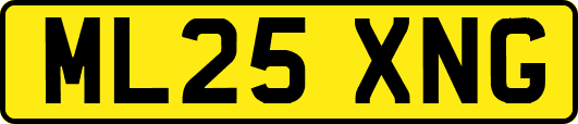 ML25XNG