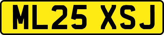 ML25XSJ