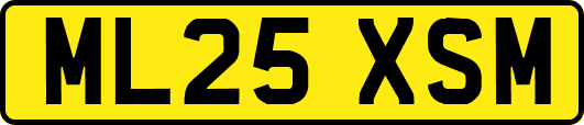 ML25XSM