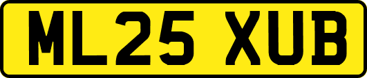 ML25XUB