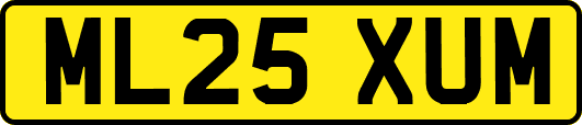 ML25XUM