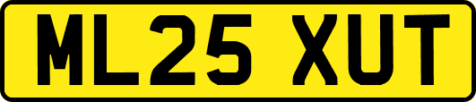 ML25XUT