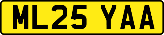 ML25YAA