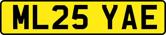 ML25YAE
