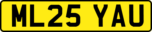 ML25YAU