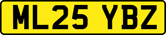 ML25YBZ