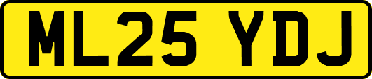ML25YDJ