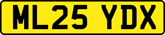 ML25YDX