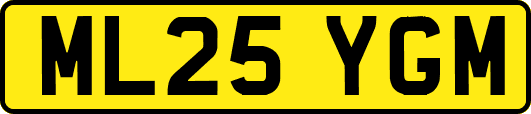 ML25YGM
