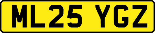 ML25YGZ
