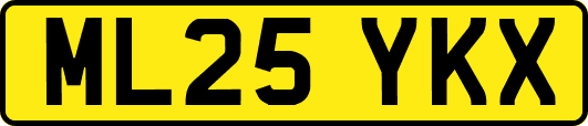 ML25YKX