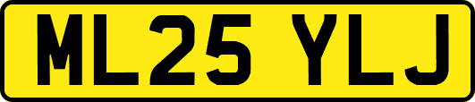 ML25YLJ