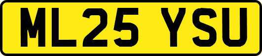 ML25YSU