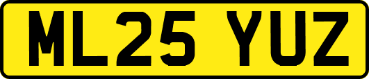 ML25YUZ